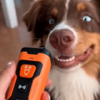 Stoppa skällandet – snabbt, enkelt och skonsamt!