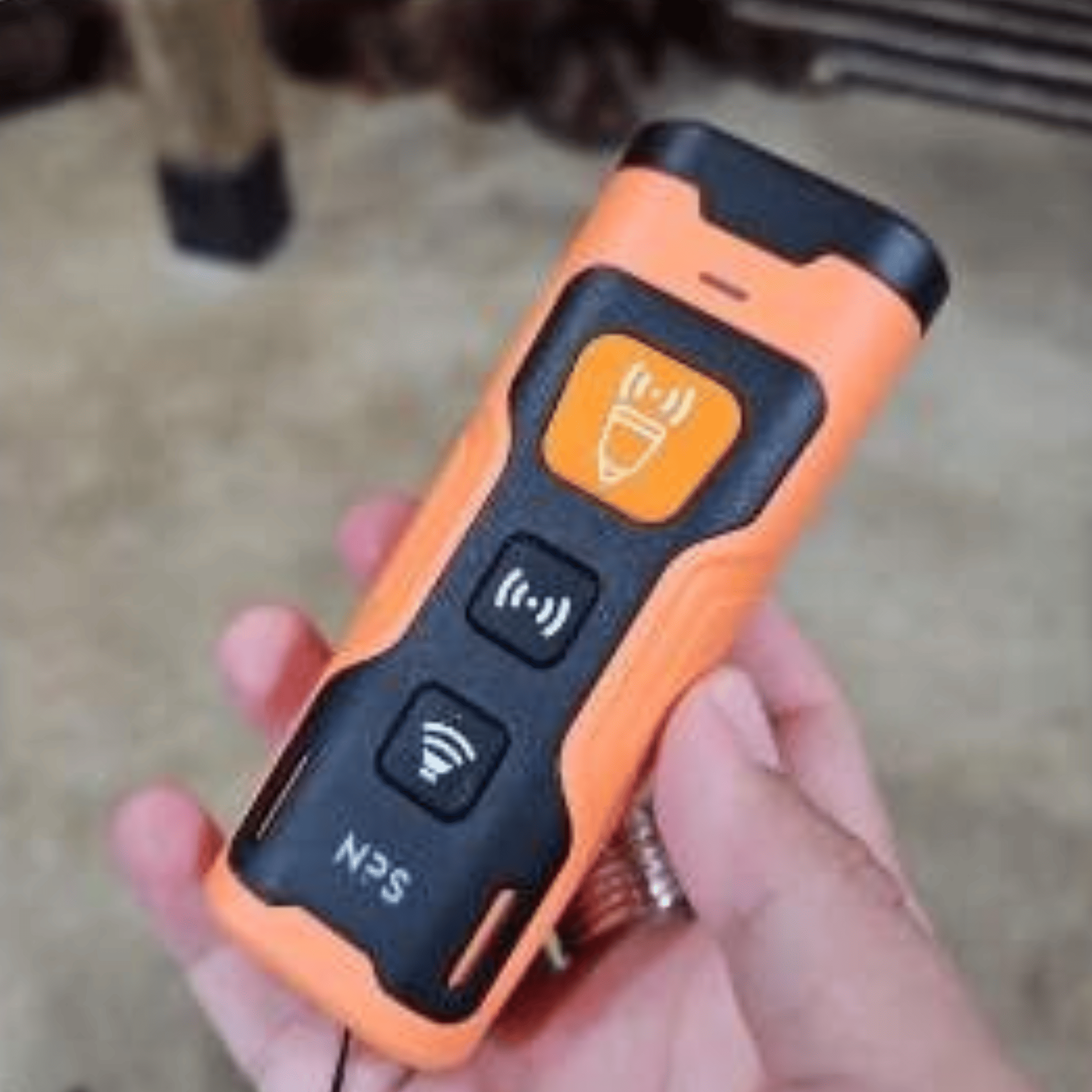 Stoppa skällandet – snabbt, enkelt och skonsamt!