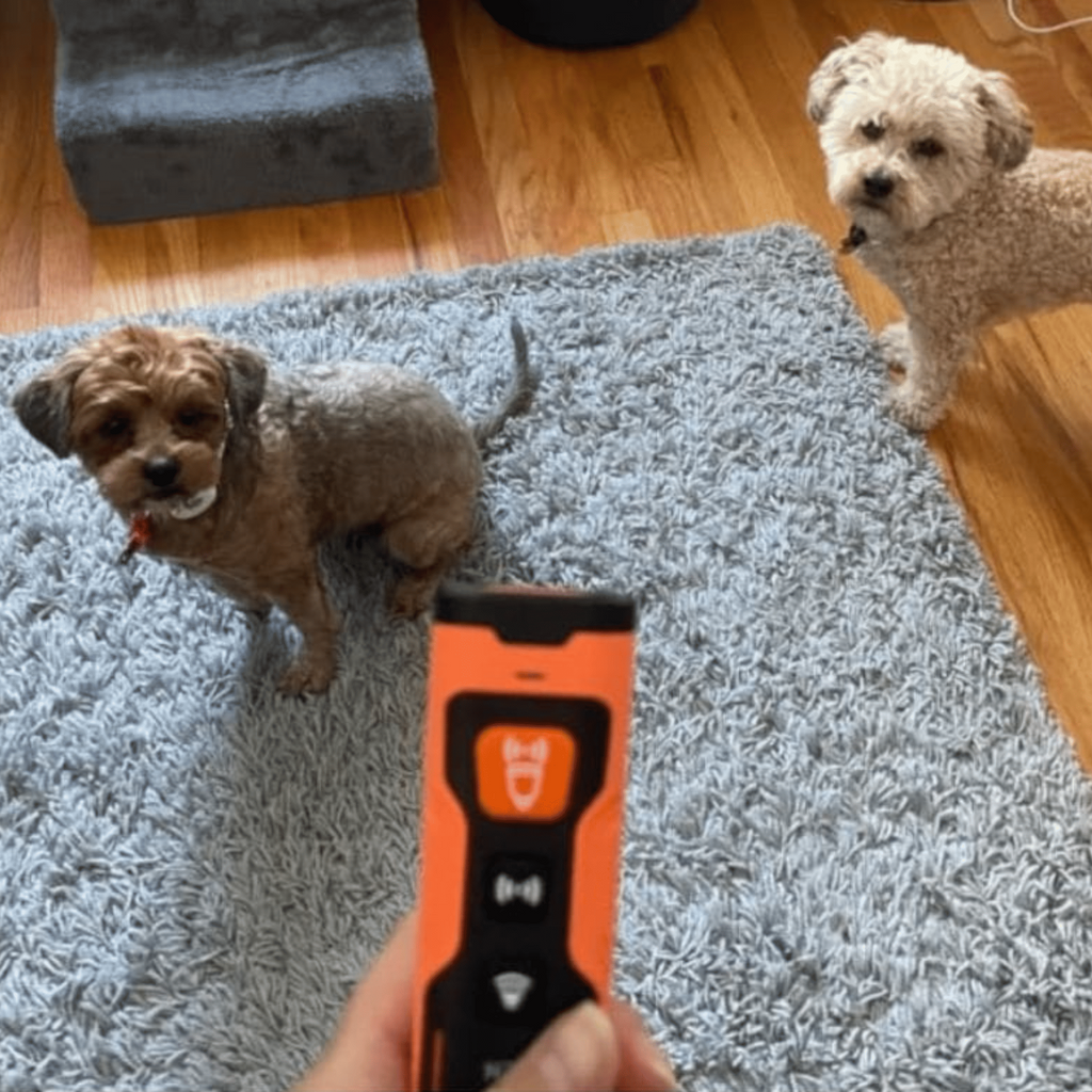 Stoppa skällandet – snabbt, enkelt och skonsamt!