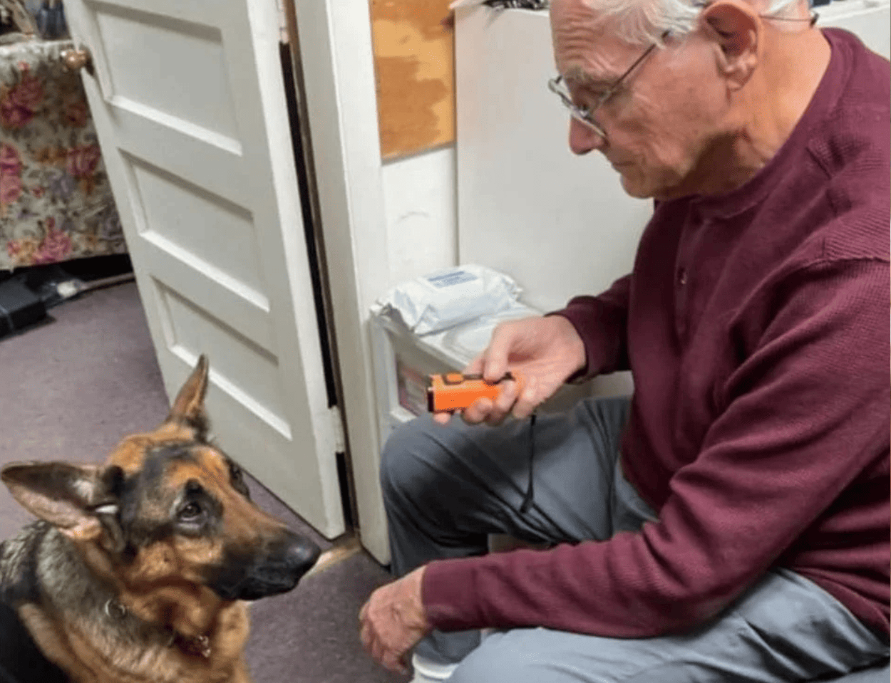 Stoppa skällandet – snabbt, enkelt och skonsamt!