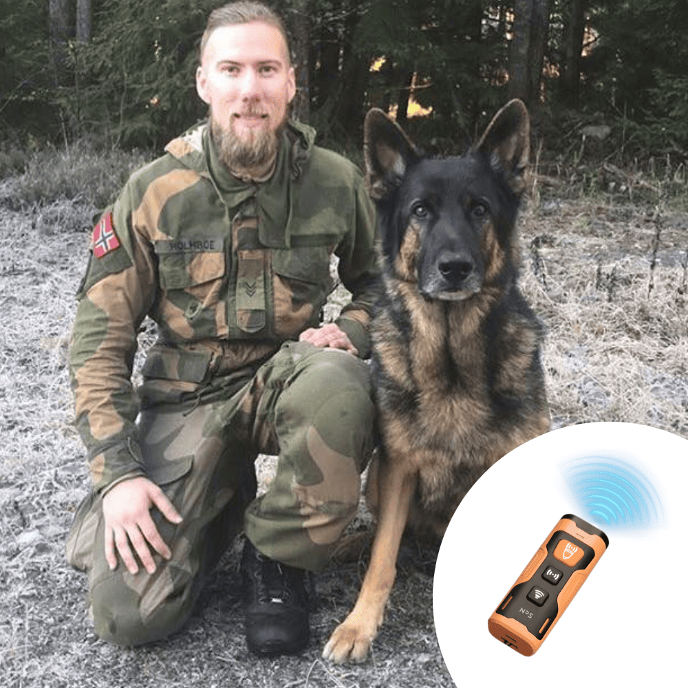 Stoppa skällandet – snabbt, enkelt och skonsamt!